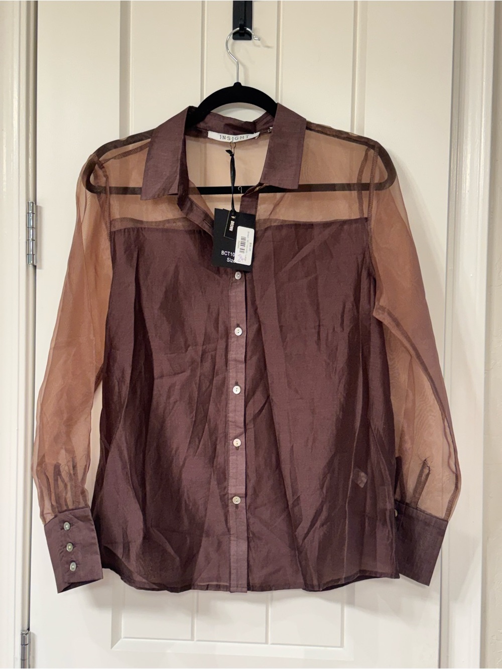 Insight Sheer Chocolate Brown Button-Up Blouse